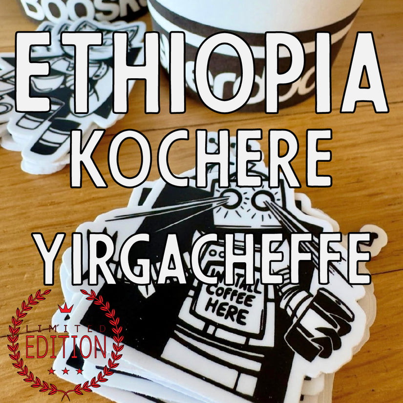 Ethiopia Yirgacheffe Kochere Washed (a lively & kinetic light roast)