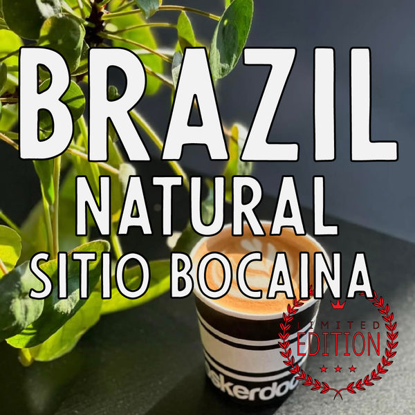 Brazil Natural Sitio Bocaina (an essential medium roast)