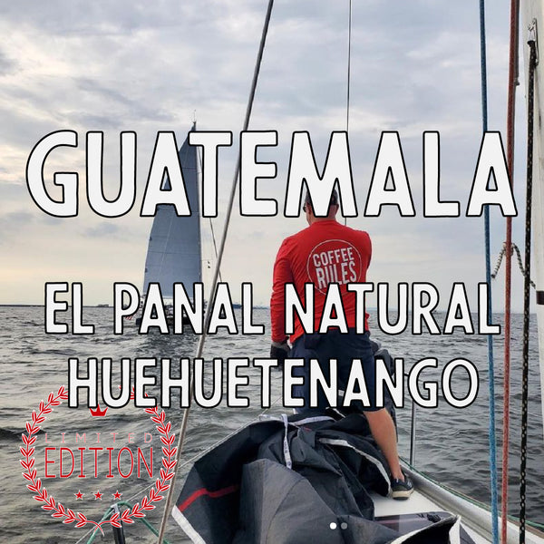 Guatemala El Panal Huehuetenango Natural (an affectionate light roast)